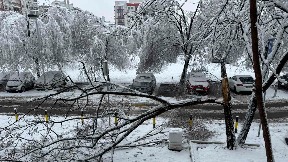 Štab u podne o snegu